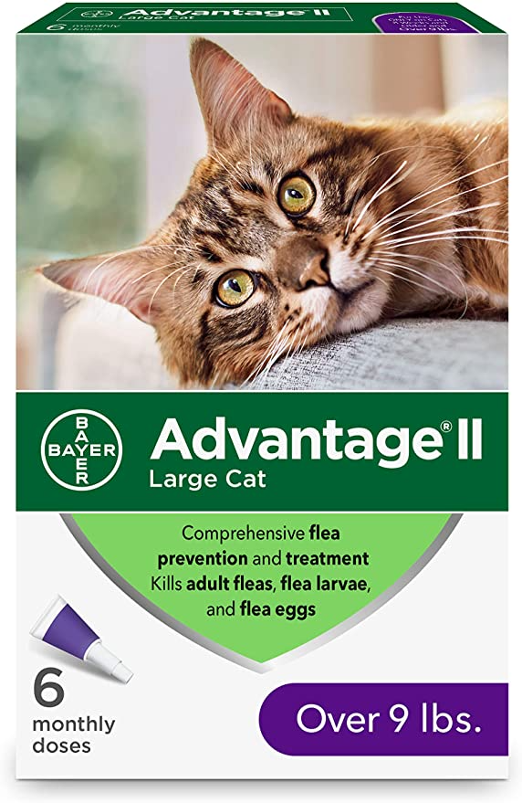 Advantage ll Large Cat 6pk