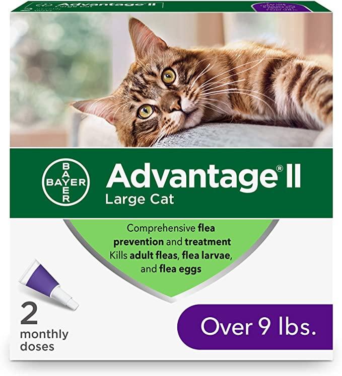 Advantage ll Large Cat 2pk