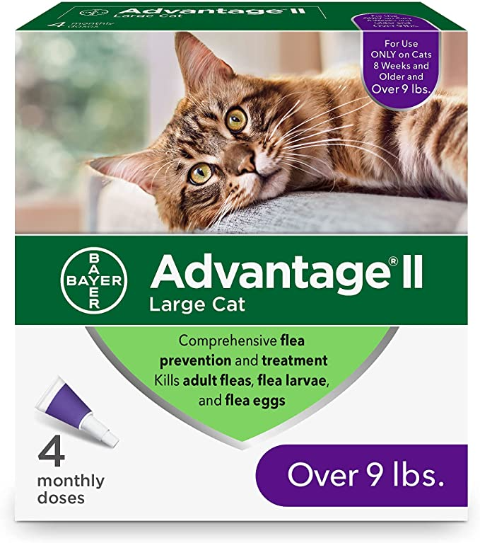 Advantage ll Large Cat 4pk